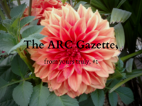 The ARC Gazette, from yours truly #1